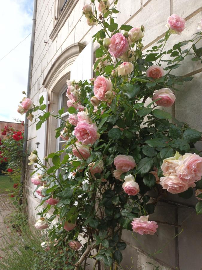 Bed and Breakfast Petit Manoir De La Berthenlaire Baincthun Экстерьер фото
