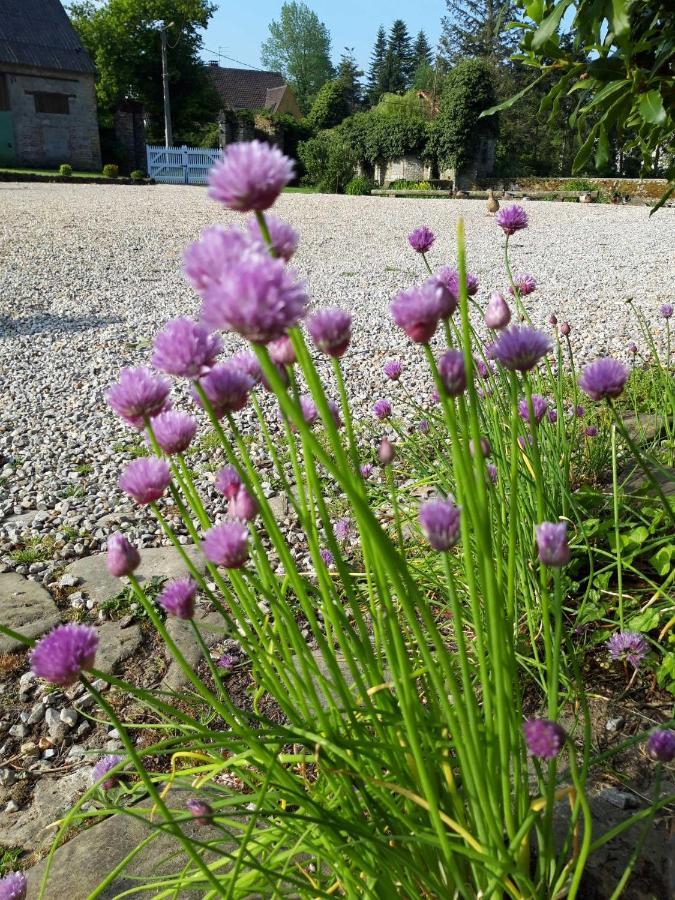 Bed and Breakfast Petit Manoir De La Berthenlaire Baincthun Экстерьер фото