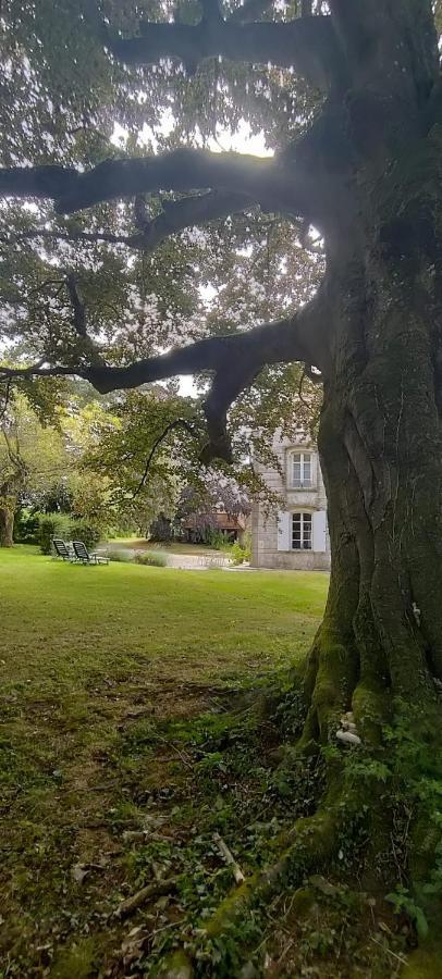 Bed and Breakfast Petit Manoir De La Berthenlaire Baincthun Экстерьер фото